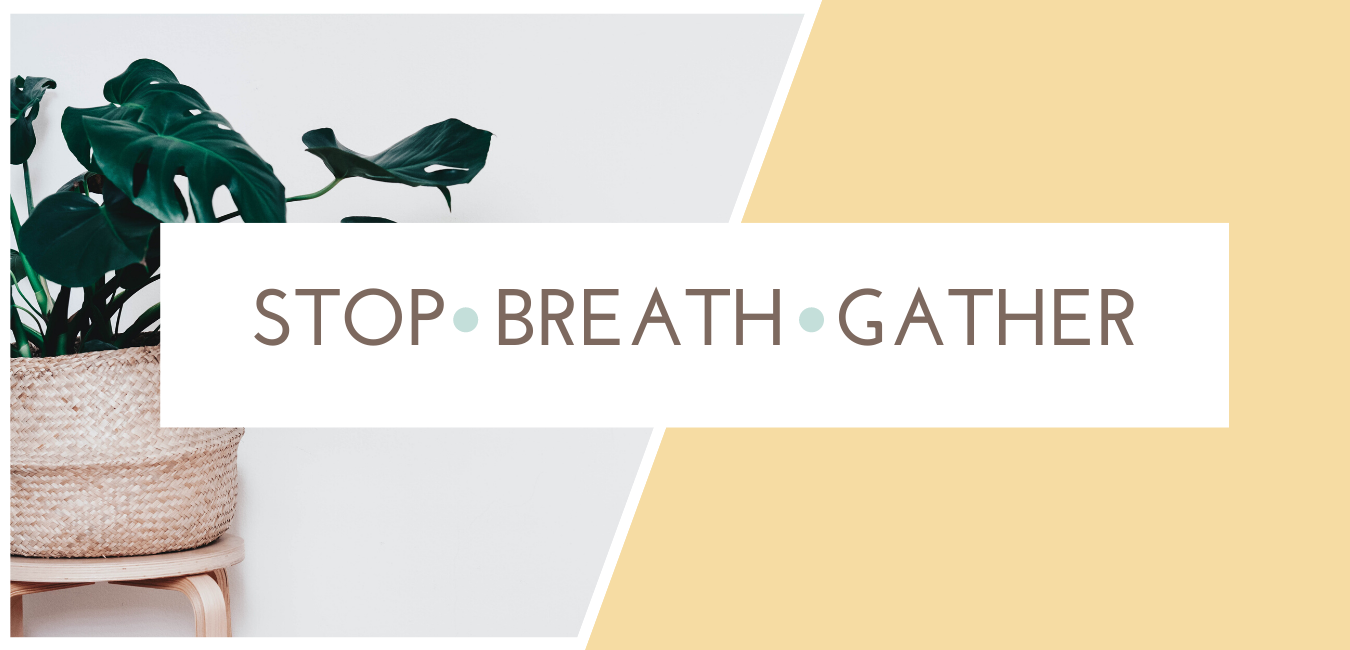 Stop - Breathe - Gather